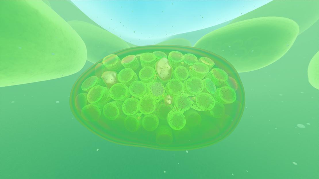 Visualisierung Mitochondrien aus "Die Chemie des Lebens" © Norrköping Visualization Center C