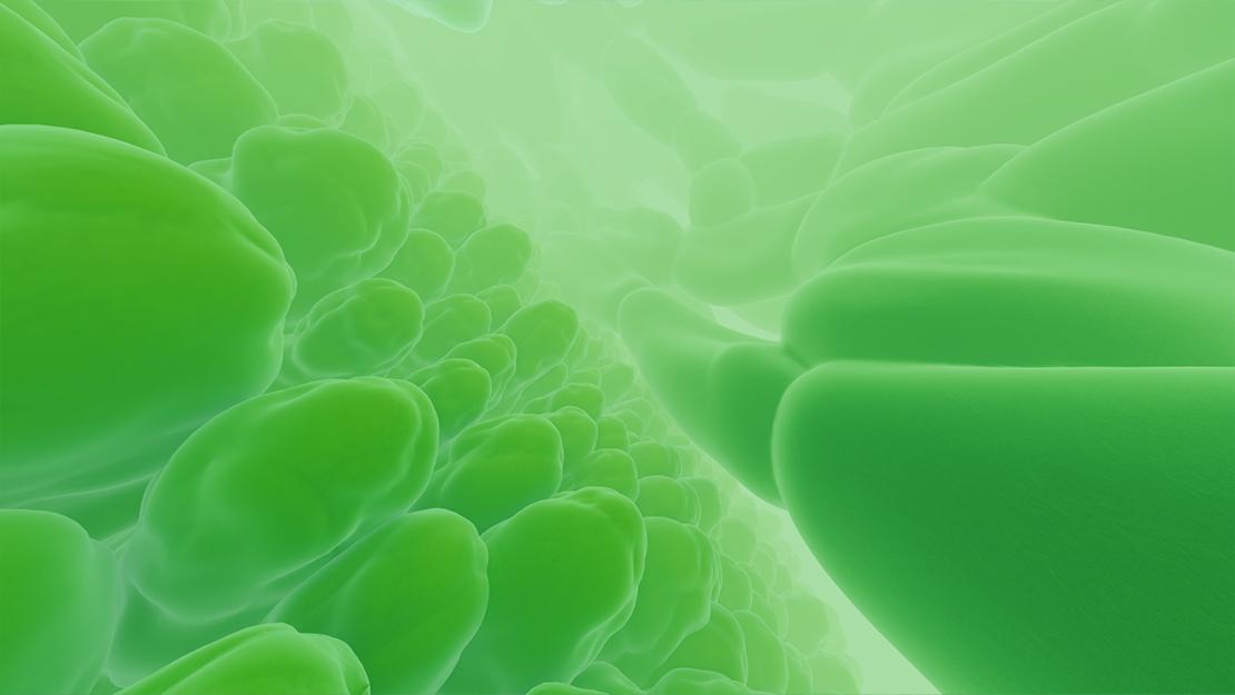 Visualisierung von Zellen aus "Die Chemie des Lebens" © Norrköping Visualization Center C