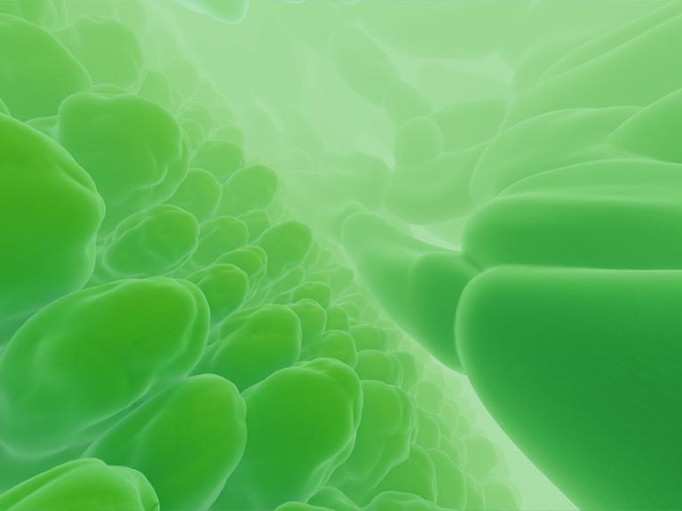 Visualisierung von Zellen aus "Die Chemie des Lebens" © Norrköping Visualization Center C