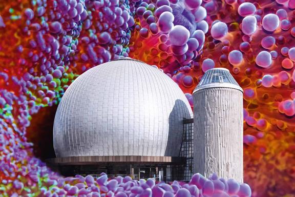 Kampagnenmotiv: »100 Jahre Planetarium« Zeiss-Großplanetarium in einer Zellenlandschaft | Bild © SPB, Design: Ta-Trung Berlin