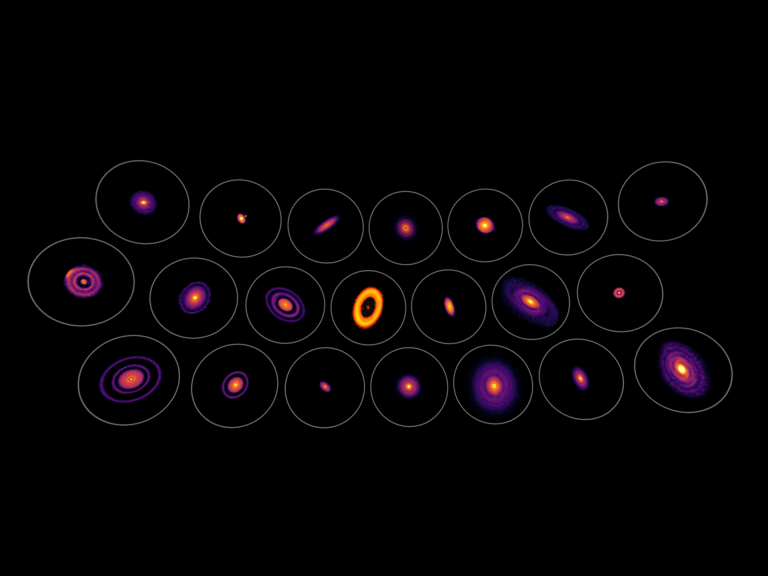 Eine Bildergalerie protoplanetarer Scheiben von der Atacama Large Millimeter/Submillimeter Array (ALMA) 