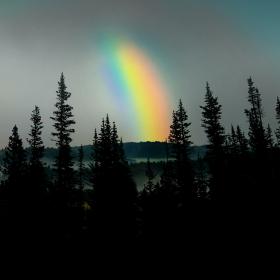 Regenbogen © Thomas Quaritsch/unsplash