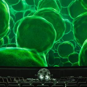 Planetariumssaal mit Projektion von Zellen in einem Blatt © SPB / Foto: Natalie Toczek