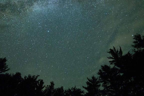 Blick in den Sternenhimmel mit Silhouetten von Bäumen | © Pixabay
